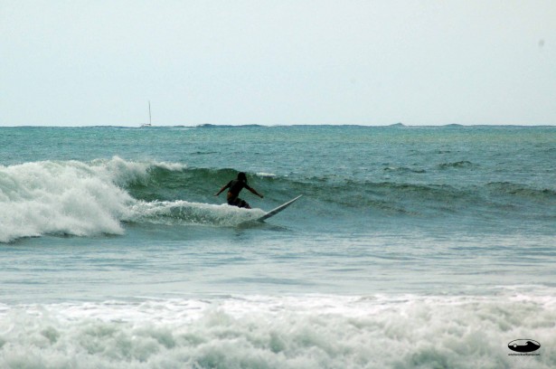 DSC_6249 DSC_6249