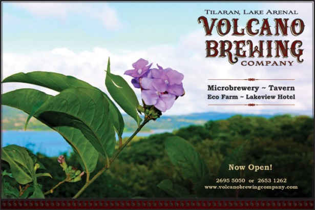 volcano_brewing_web_ad_flower_11292011 volcano_brewing_web_ad_flower_11292011