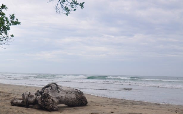 Read more about the article Tamarindo Surf Report – july 7, 2014