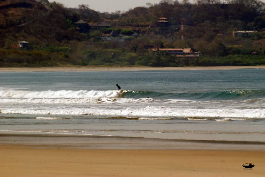 Read more about the article Surf Report for Tuesday, March 8th 2011