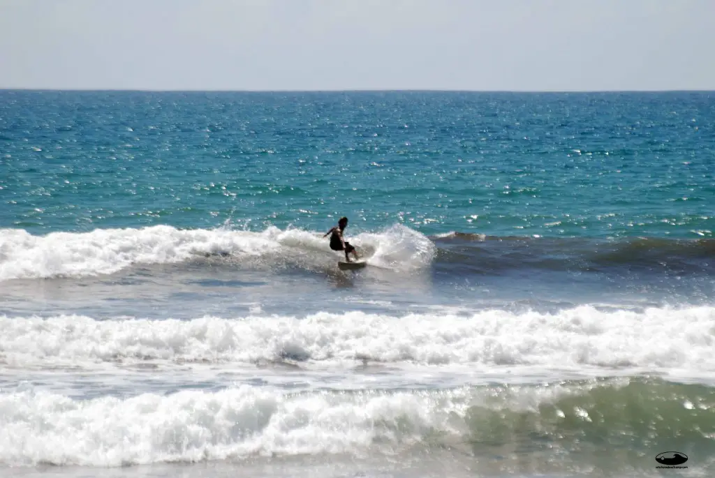 Read more about the article Surf Report for Tuesday, February 8th 2011