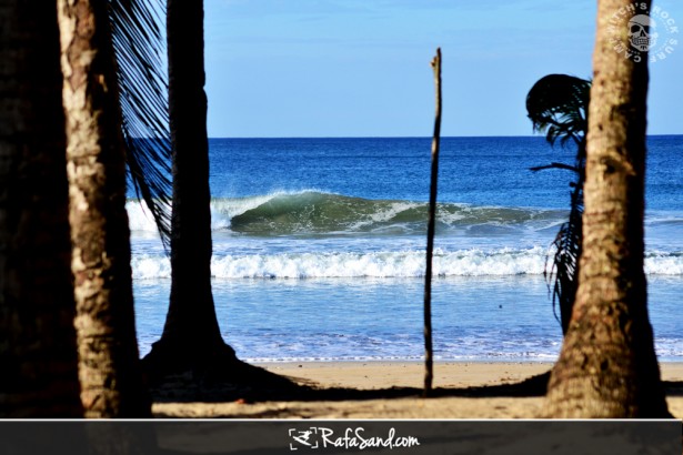 Read more about the article Surf Report for Friday, December 2nd 2011
