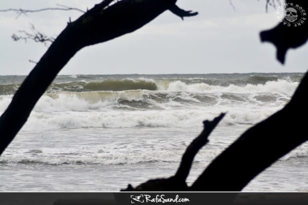 Read more about the article Surf Report for Thursday, October 13th 2011