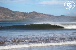 Read more about the article Tamarindo Surf Report Jan 25th