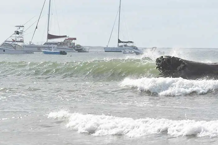 An empty wave breaking across Henry's Right, Playa Tamarindo