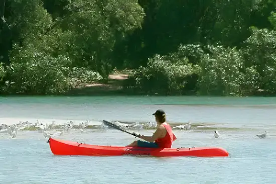 Tamarindo Estuary Tour Mangrove Kayak